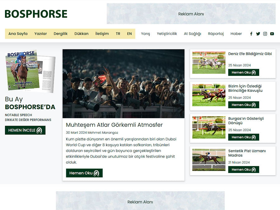 Bosphorse Özel WordPress Teması